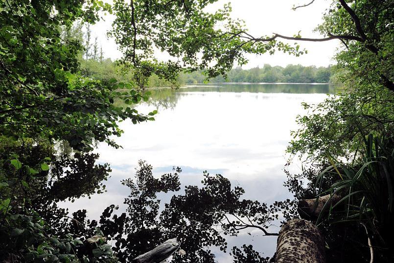 1593_5660 Ein See im Achtermoor des Boberger Naturschutzgebiet im Hamburger Stadtteil Lohbrügge. | Naturschutzgebiet Boberger Niederung